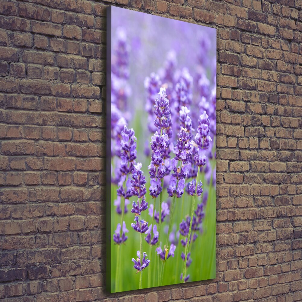 Canvas wall art Lavender field