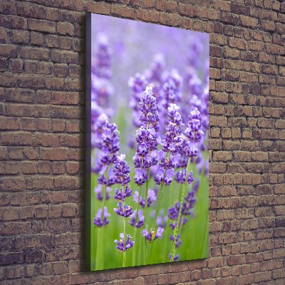 Canvas wall art Lavender field