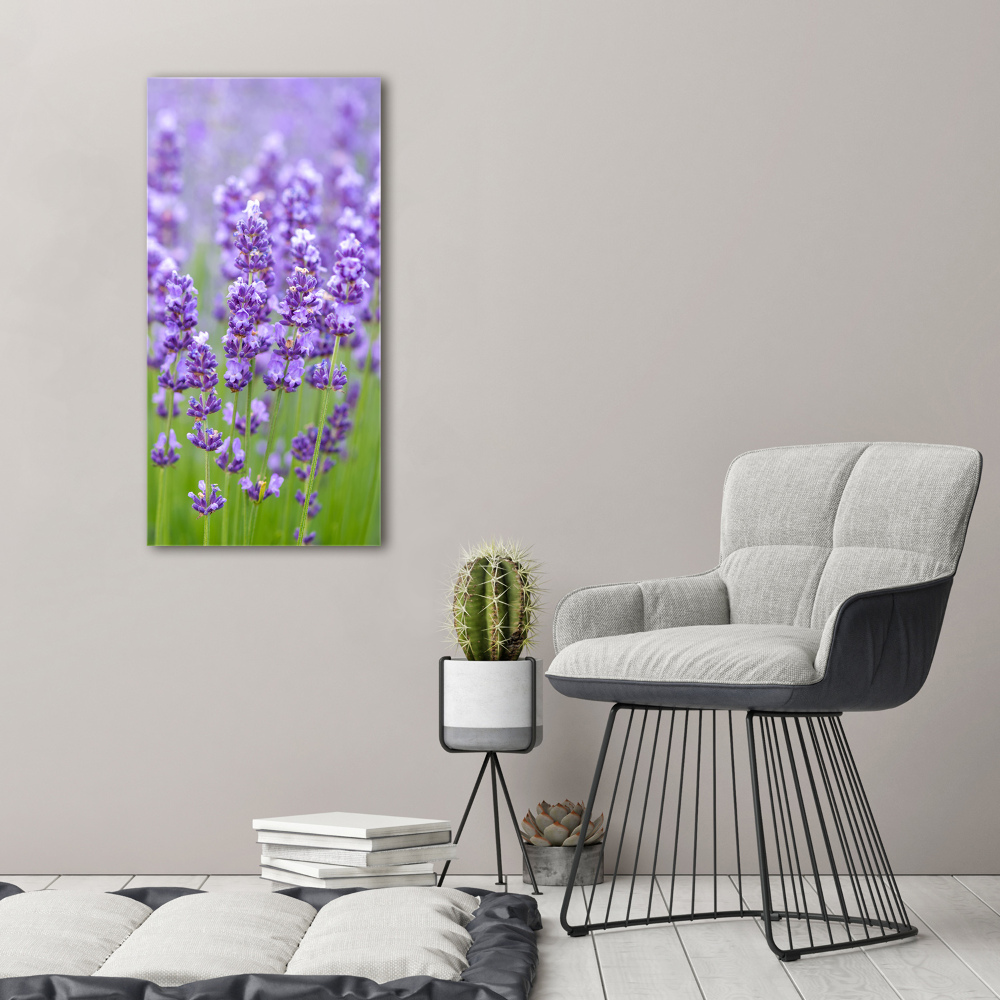 Canvas wall art Lavender field