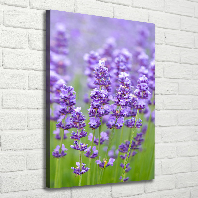 Canvas wall art Lavender field