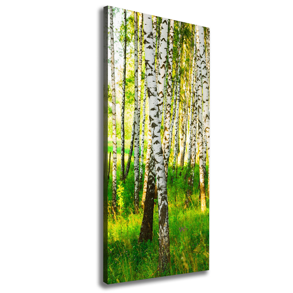 Large canvas wall art Birch forest