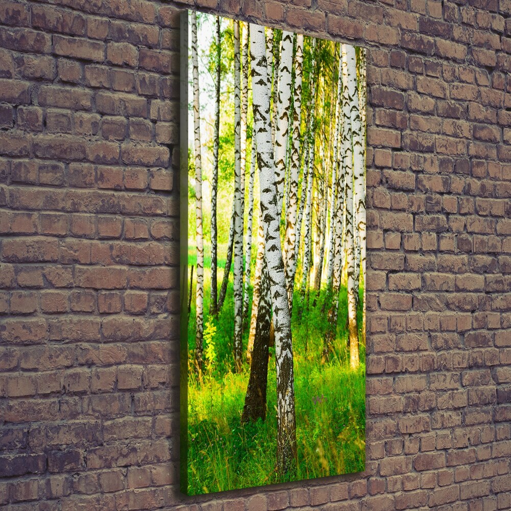 Large canvas wall art Birch forest