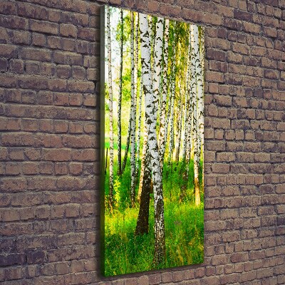 Large canvas wall art Birch forest