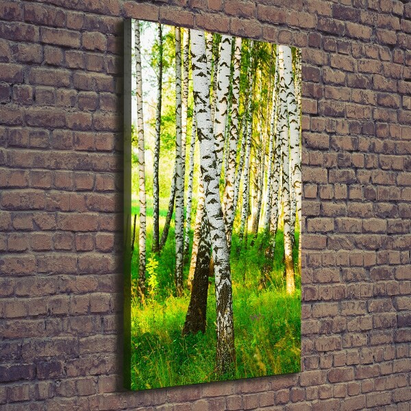 Large canvas wall art Birch forest