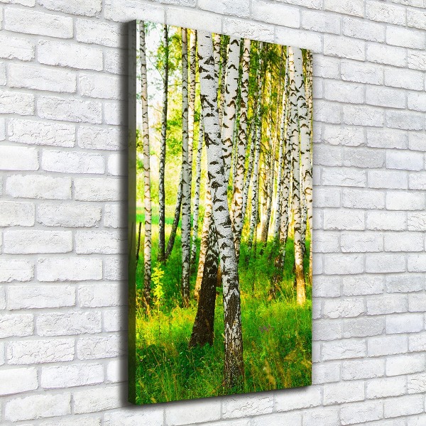 Large canvas wall art Birch forest