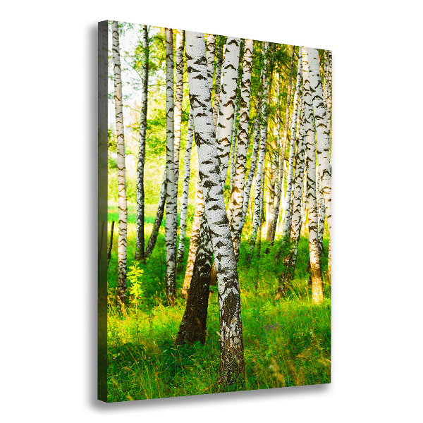 Large canvas wall art Birch forest