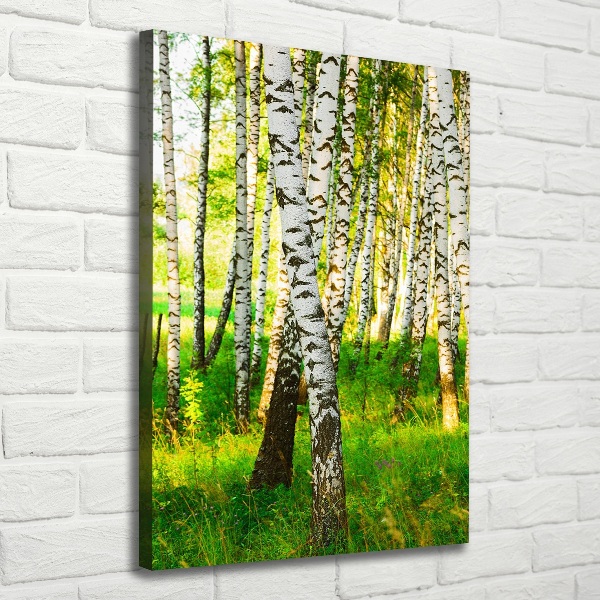 Large canvas wall art Birch forest