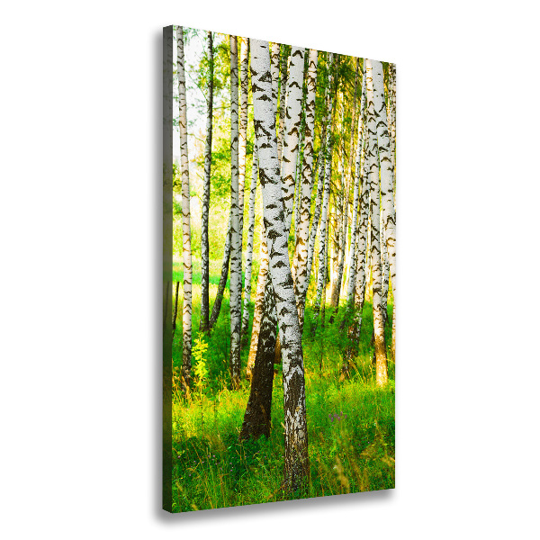 Large canvas wall art Birch forest