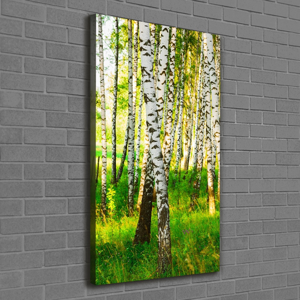 Large canvas wall art Birch forest