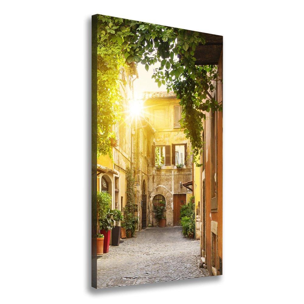 Wall canvas art Italian streets