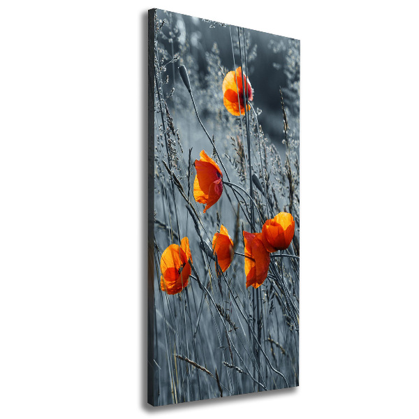 Large canvas wall art Field poppies