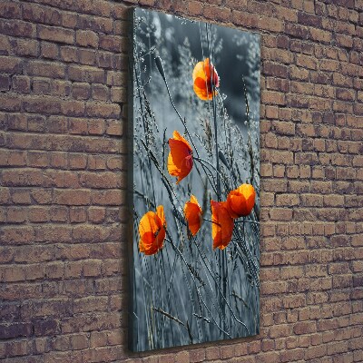 Large canvas wall art Field poppies