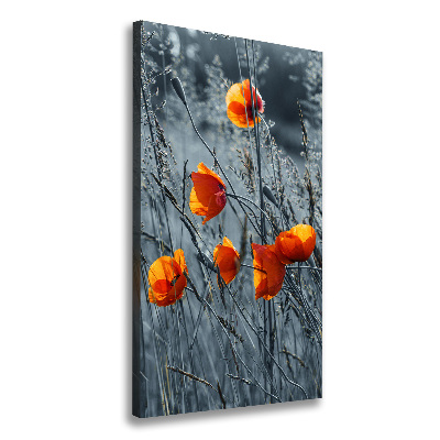 Large canvas wall art Field poppies