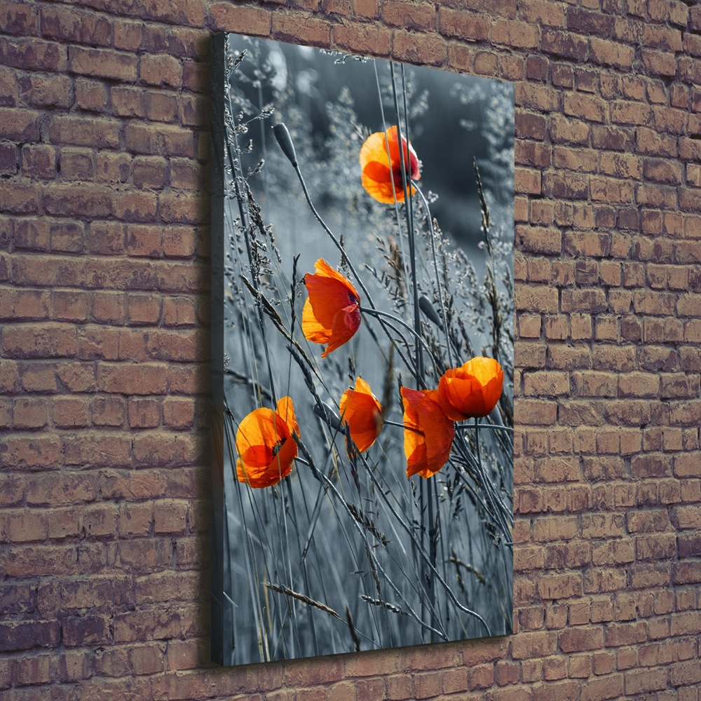 Large canvas wall art Field poppies