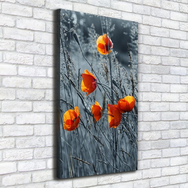 Large canvas wall art Field poppies