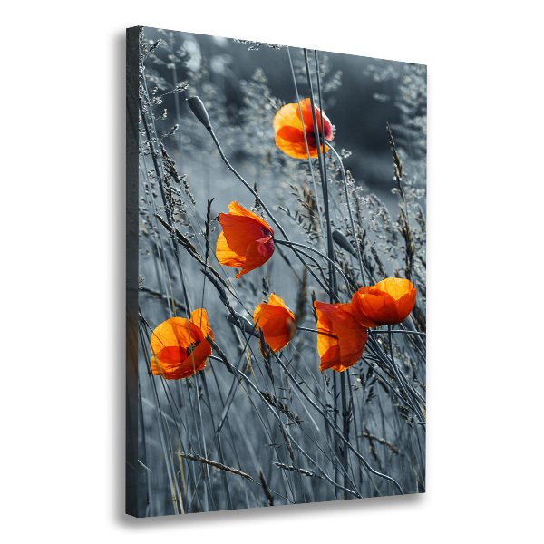 Large canvas wall art Field poppies