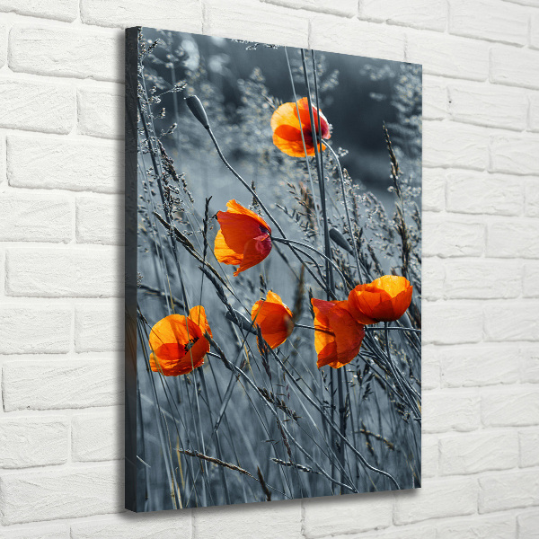 Large canvas wall art Field poppies