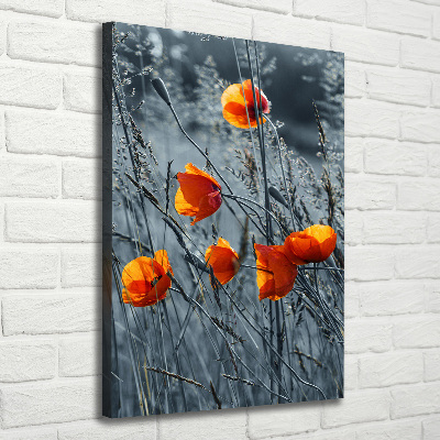 Large canvas wall art Field poppies