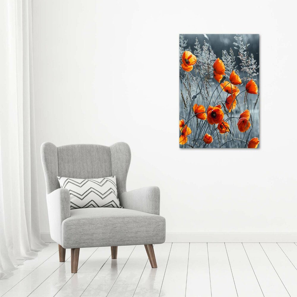 Large canvas wall art Field poppies