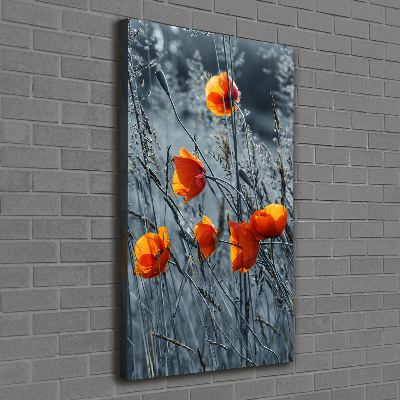 Large canvas wall art Field poppies