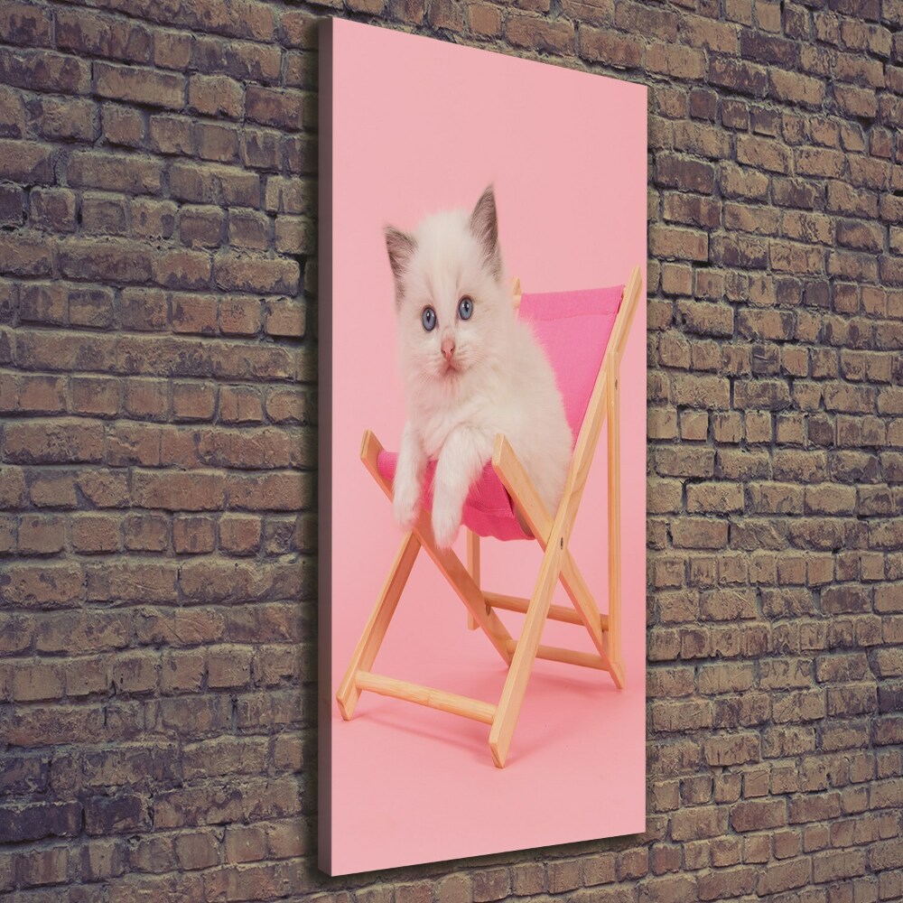 Canvas wall art Cat on a sun lounger