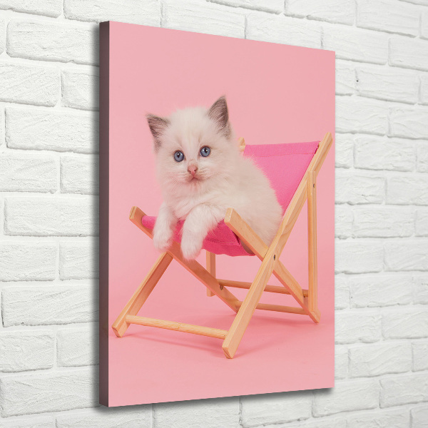 Canvas wall art Cat on a sun lounger