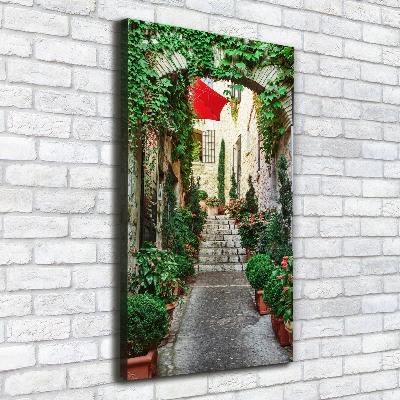 Wall canvas art Streets France