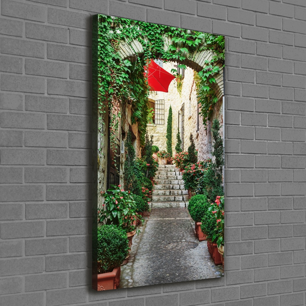 Wall canvas art Streets France