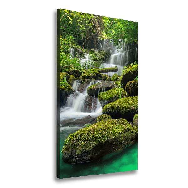 Canvas print Waterfall in the jungle