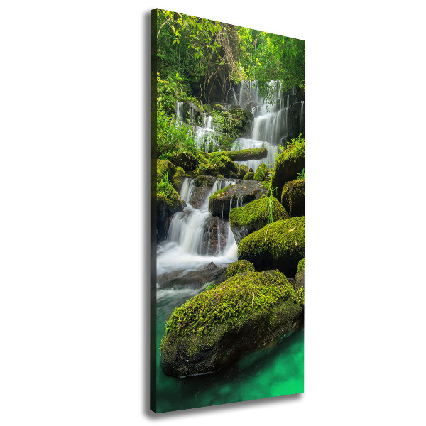 Canvas print Waterfall in the jungle