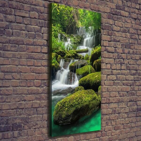 Canvas print Waterfall in the jungle