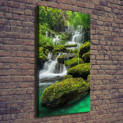 Canvas print Waterfall in the jungle