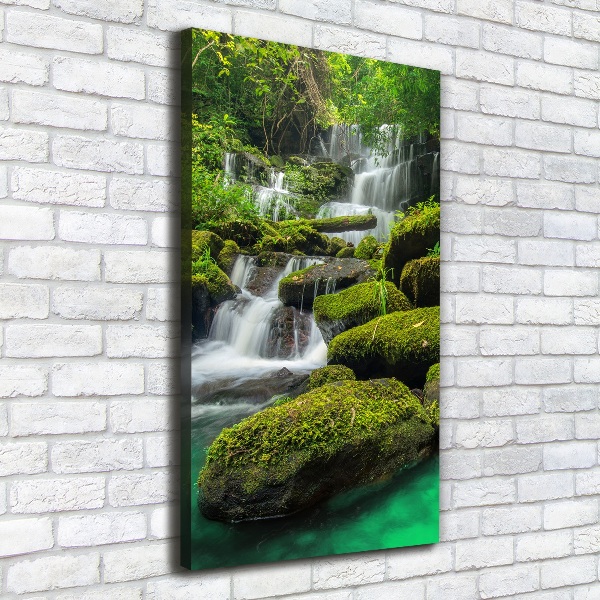 Canvas print Waterfall in the jungle