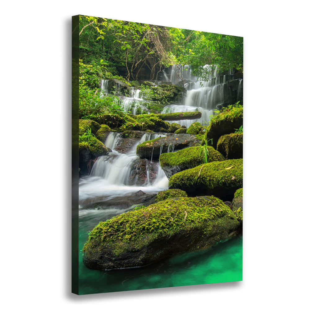 Canvas print Waterfall in the jungle