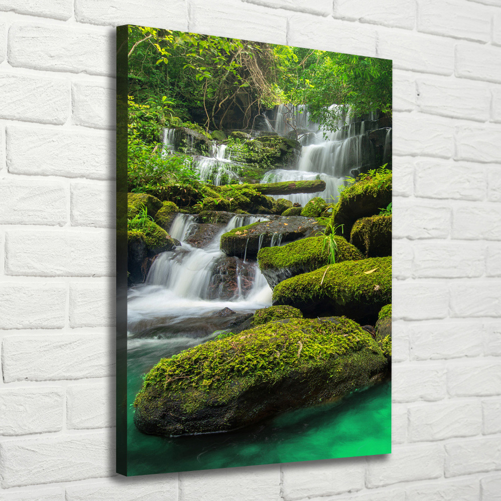 Canvas print Waterfall in the jungle