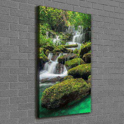 Canvas print Waterfall in the jungle