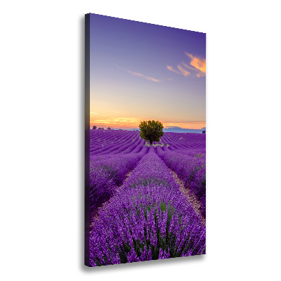 Large canvas wall art Lavender field