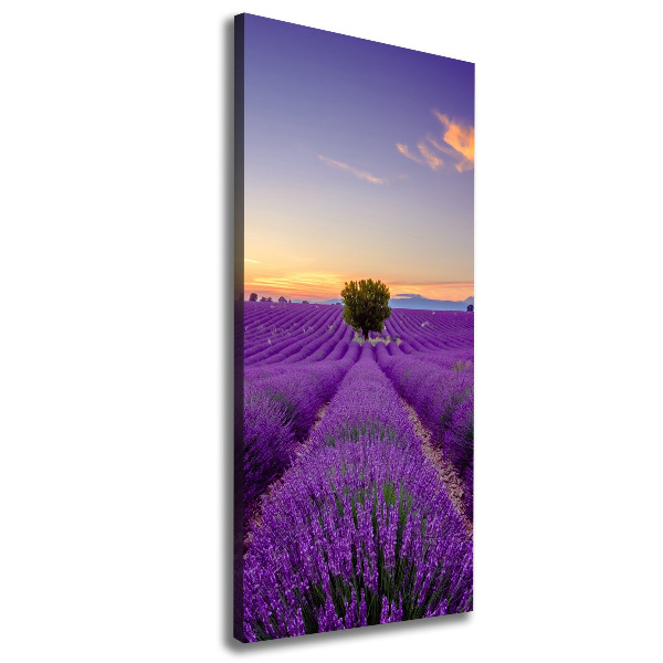 Large canvas wall art Lavender field