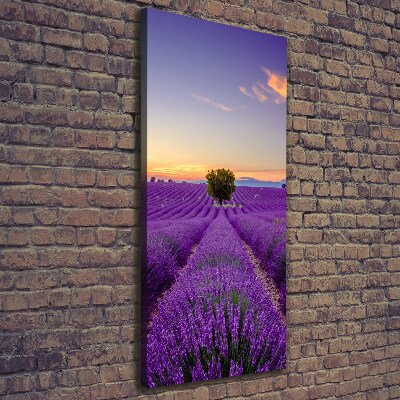 Large canvas wall art Lavender field