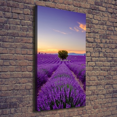 Large canvas wall art Lavender field