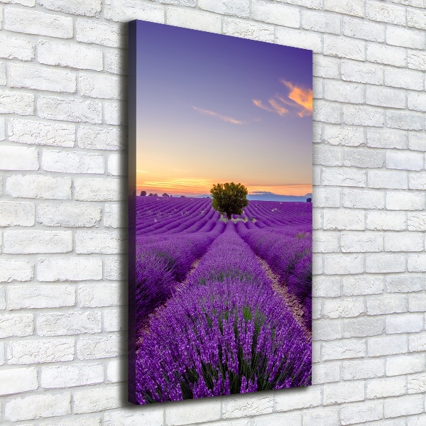 Large canvas wall art Lavender field