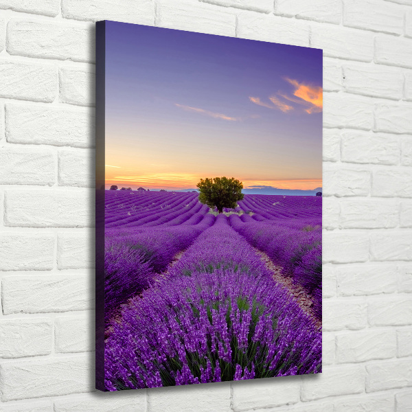 Large canvas wall art Lavender field