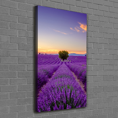 Large canvas wall art Lavender field