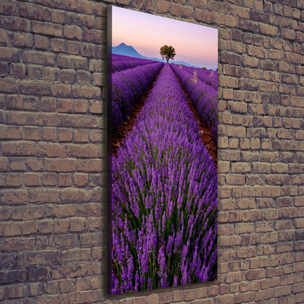 Canvas print Lavender field