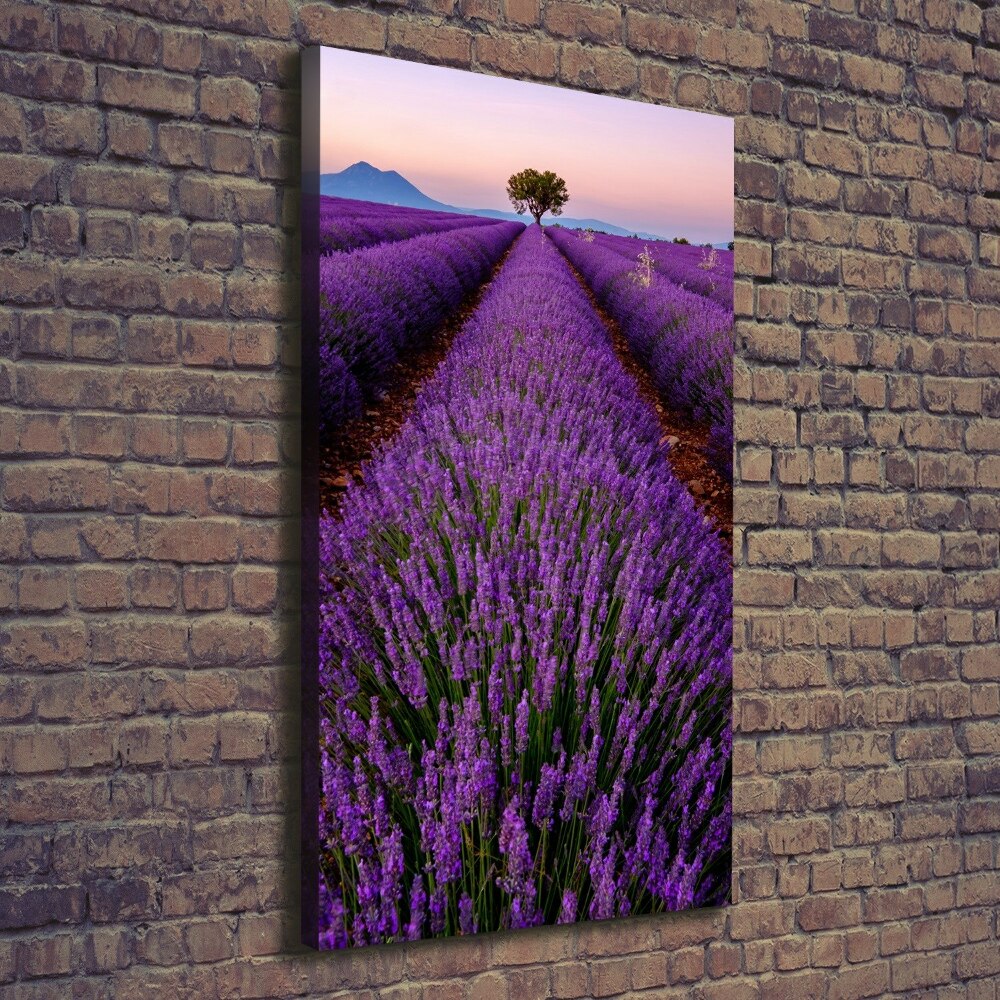 Canvas print Lavender field