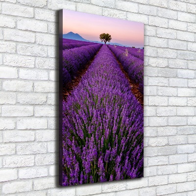 Canvas print Lavender field