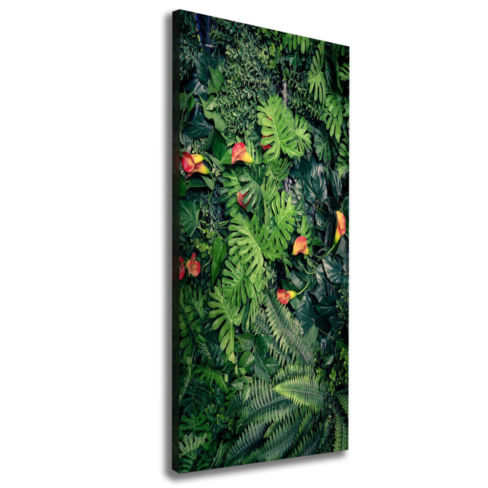 Canvas wall art Tropical plants