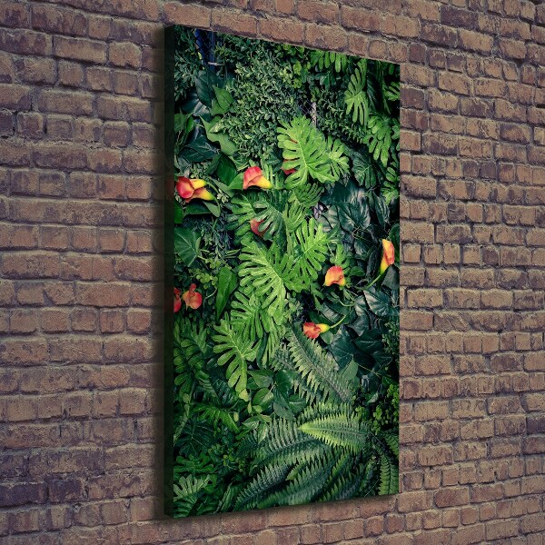 Canvas wall art Tropical plants