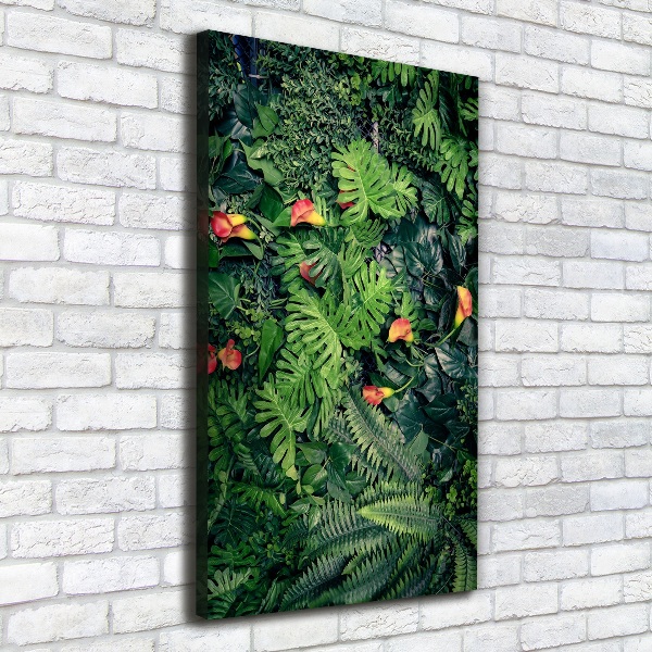 Canvas wall art Tropical plants