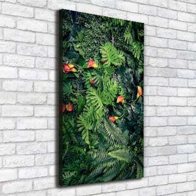 Canvas wall art Tropical plants